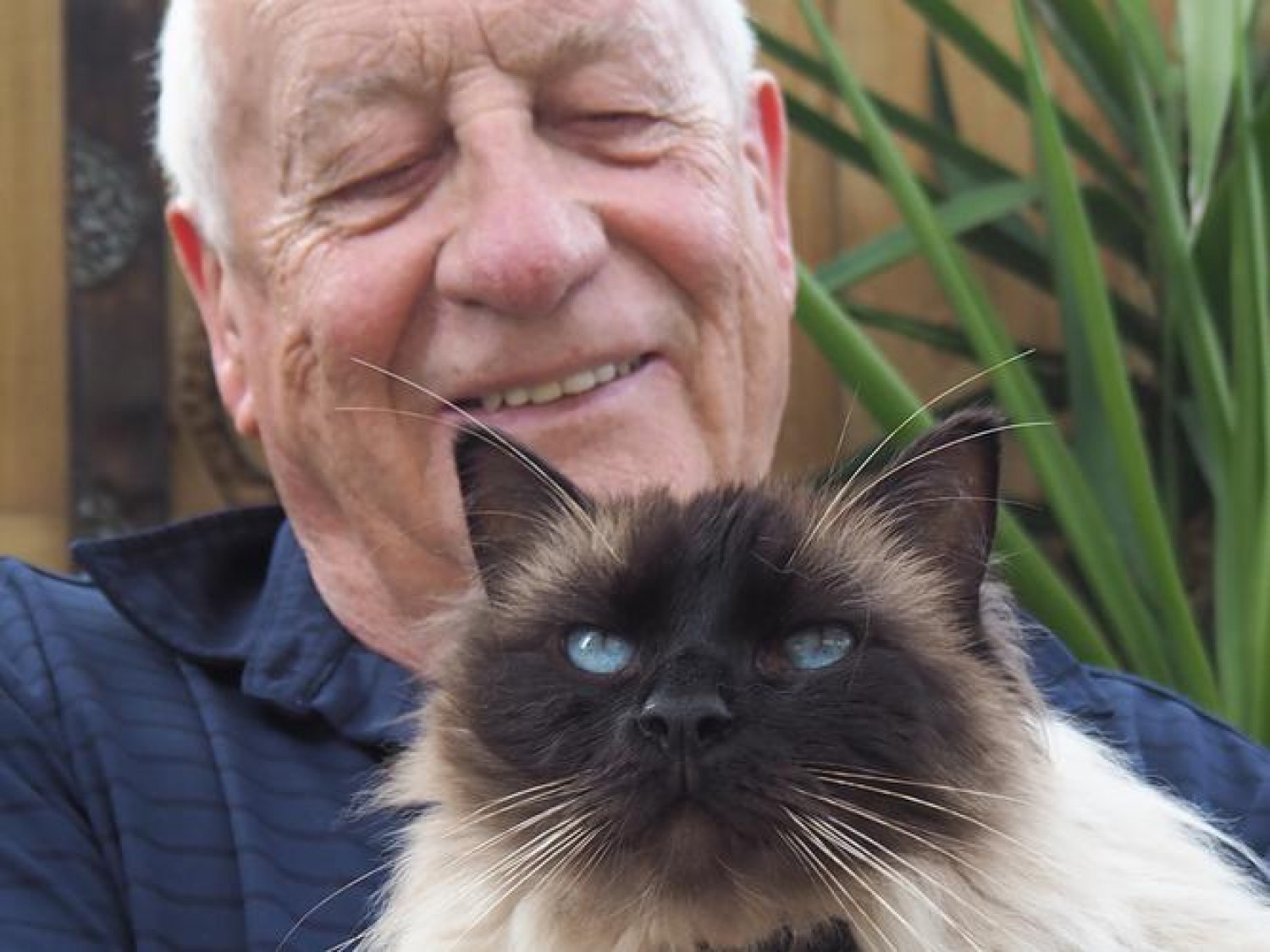 Meglepő tények: így hatnak a macskák az idős emberekre