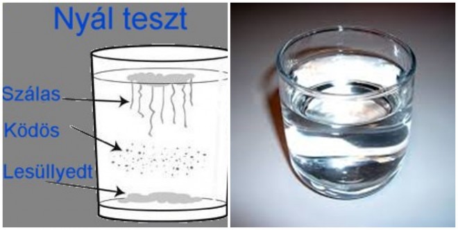 Egy nyálmintából Te magad megállapíthatod, hogy van-e a szervezetedben gombás fertőzés