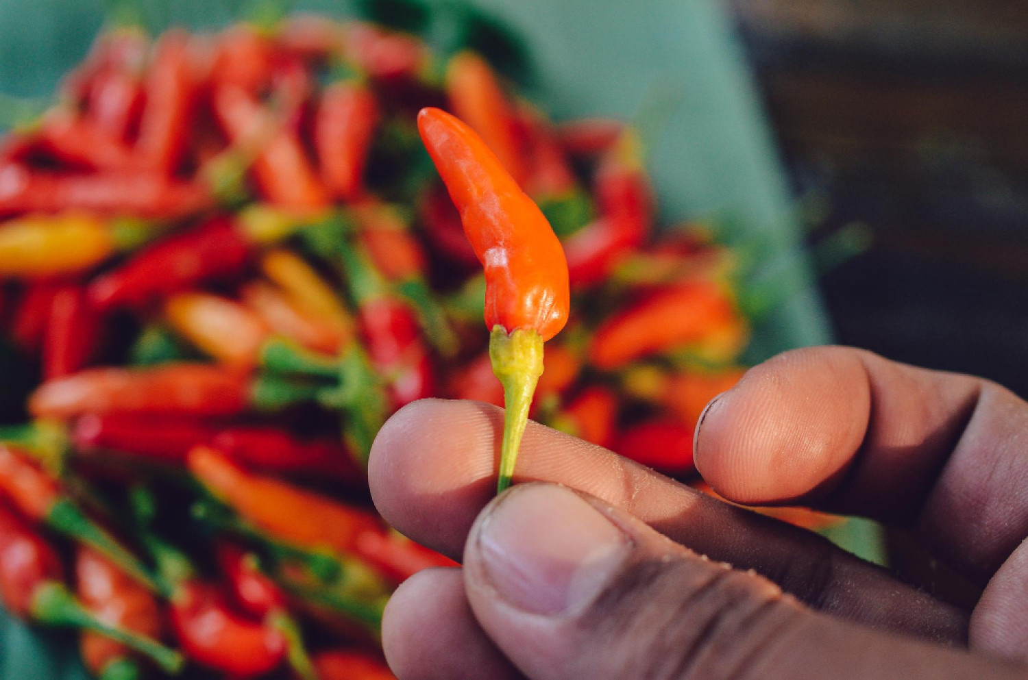 A chili és a vércukorszint: mit mondanak a kutatások?