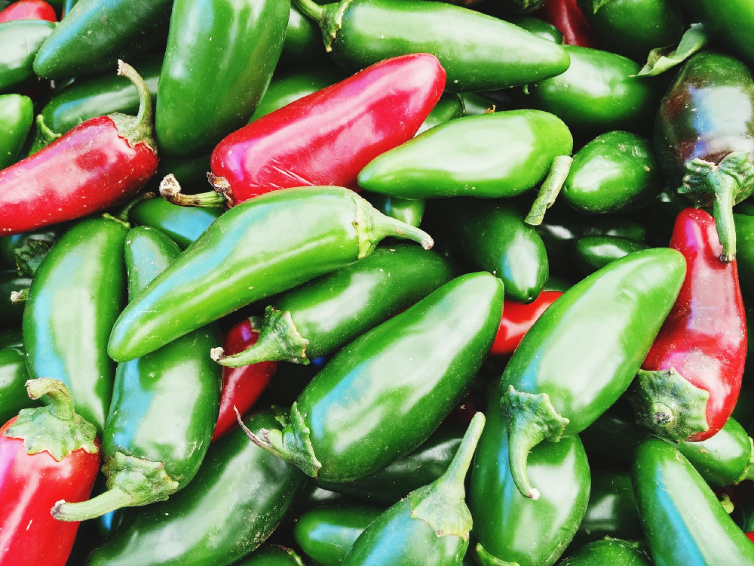 Jalapeño vs chipotle – ugyanaz és mégis teljesen más