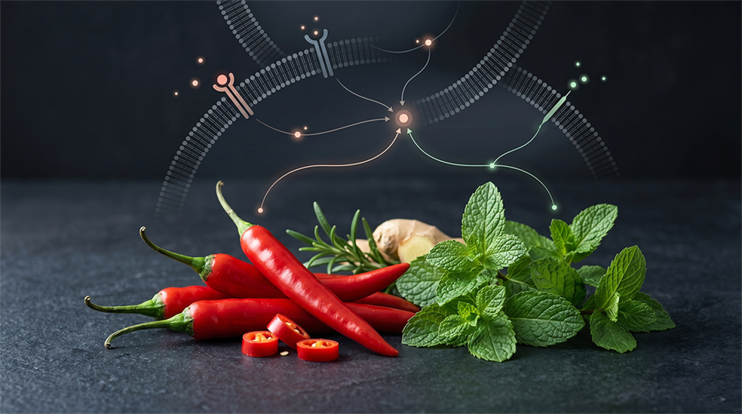 700x nagyobb gyulladáscsökkentő hatás a chili-menta párosítással